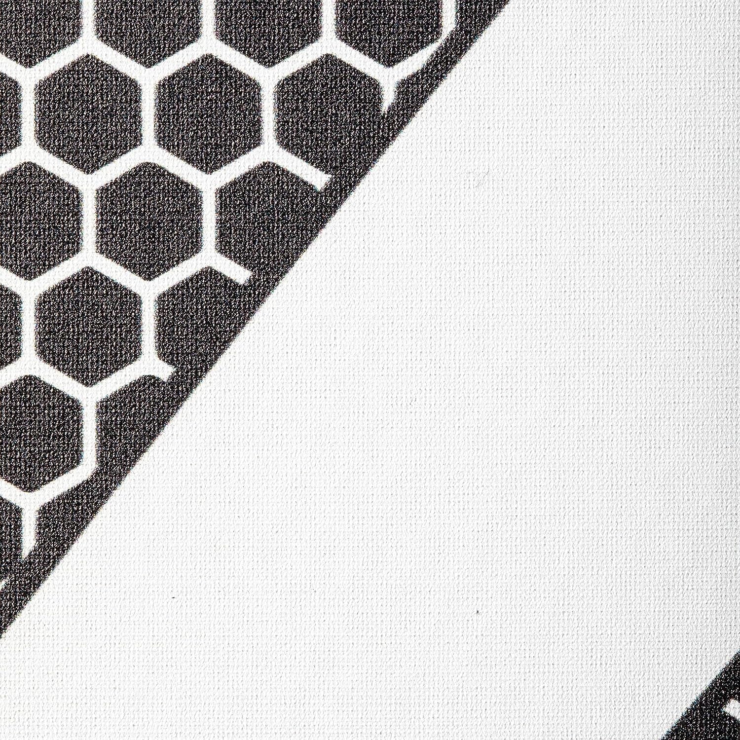 ONIX™ Graphite MOD Z5 Pickleball Paddle